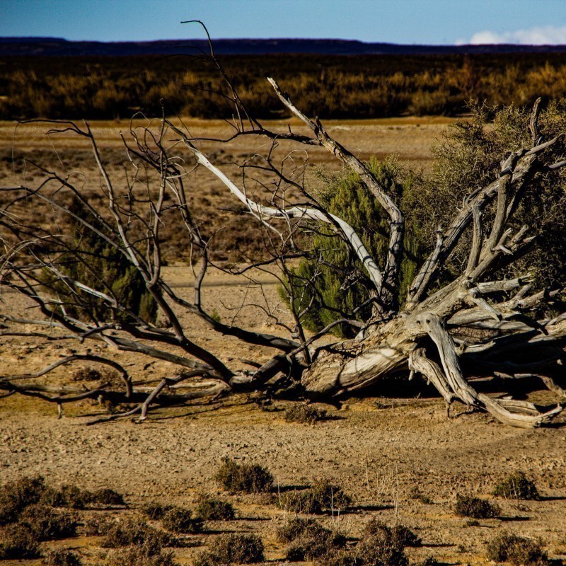 Κλιματική αλλαγή: Μέχρι το τέλος του αιώνα, η ξηρασία θα πλήττει διπλάσιο αριθμό ανθρώπων